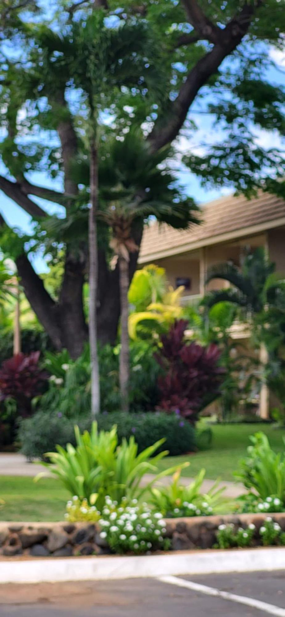 Kihei Kai Nani Resort Exteriér fotografie