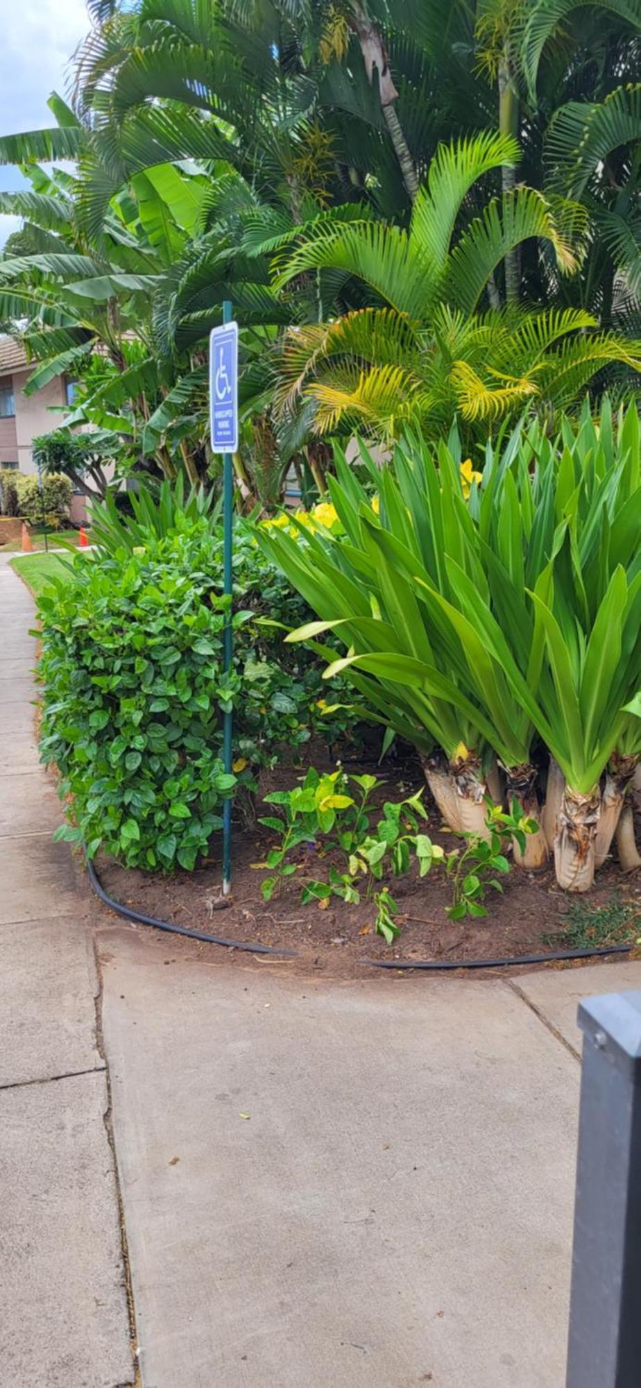 Kihei Kai Nani Resort Exteriér fotografie