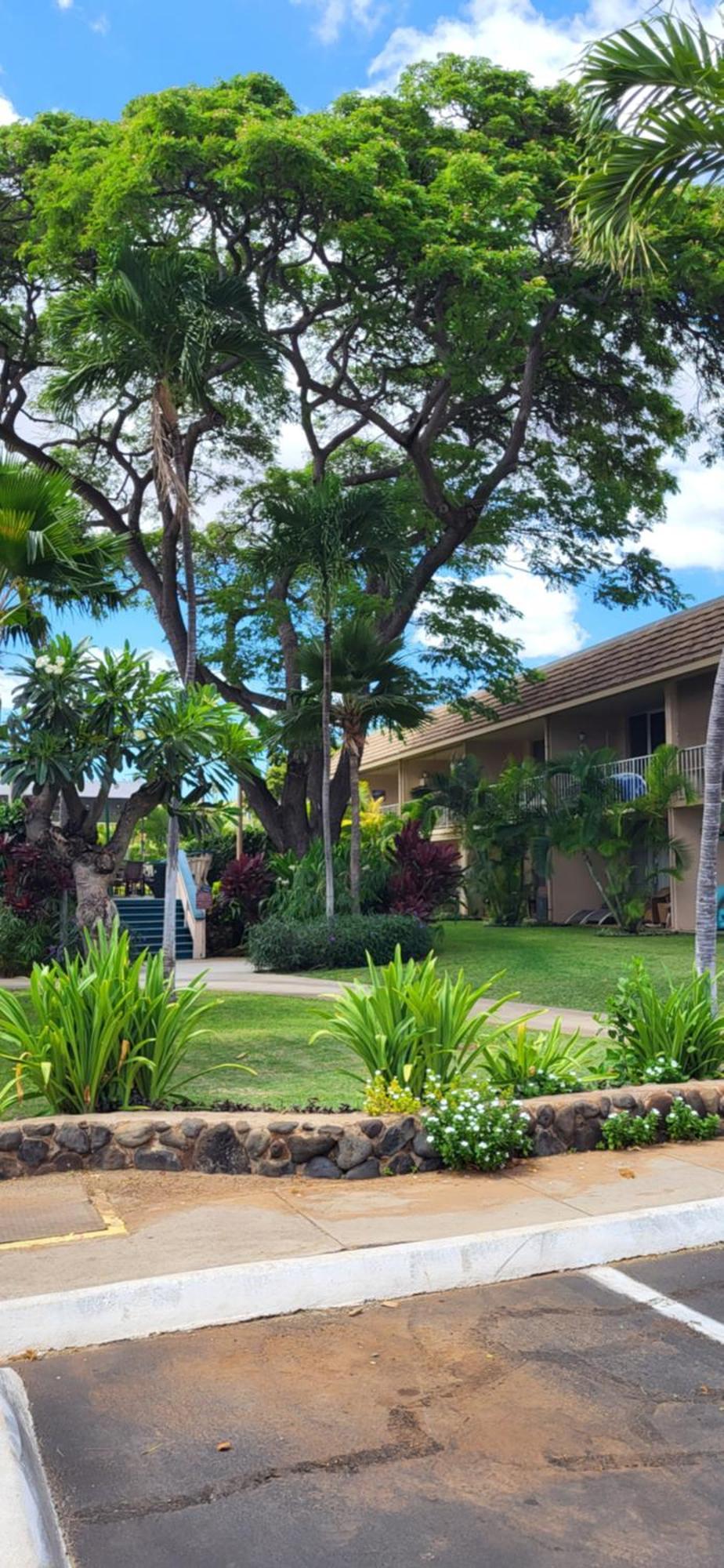 Kihei Kai Nani Resort Exteriér fotografie